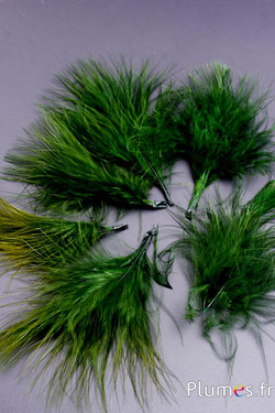 Dinde marabout - 4-7 cm - kaki
